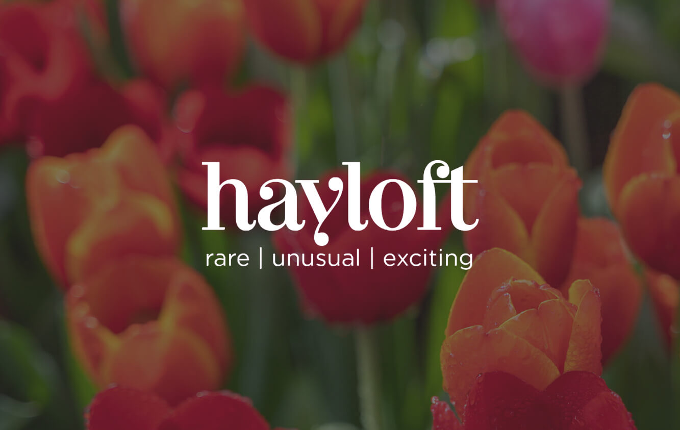 Hayloft logo