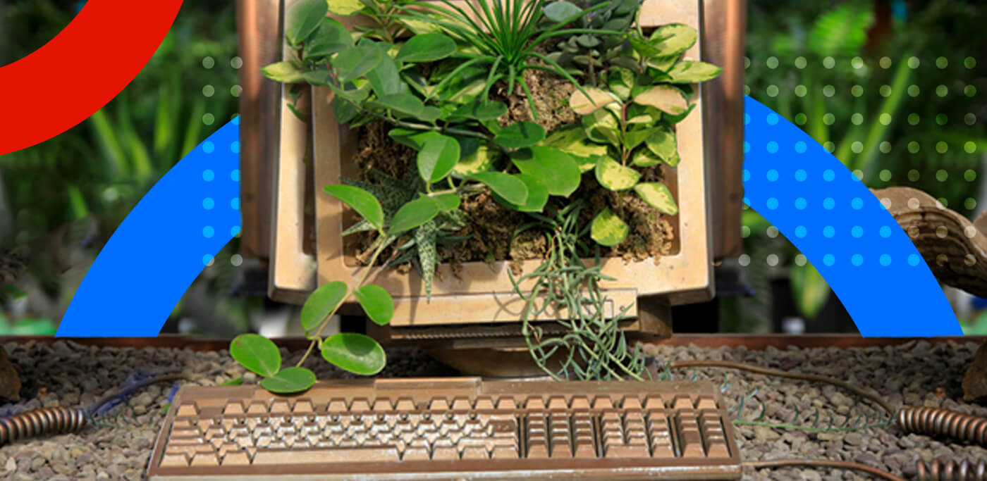 Plant growing out of monitor