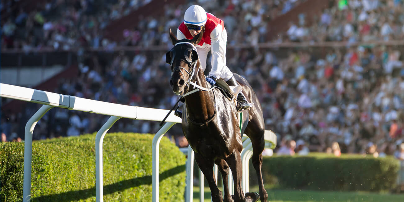 Front runner horse leading