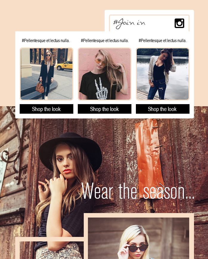 Social feeds showing in an interactive email