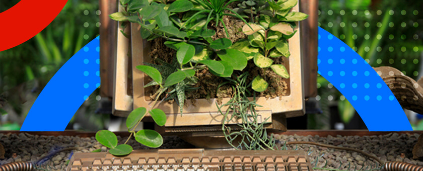 Plant growing out of monitor